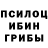 Псилоцибиновые грибы Psilocybine cubensis Kevin Purtell
