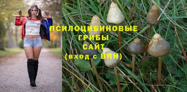 а пвп мука Бородино