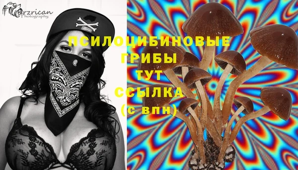 СК Бугульма