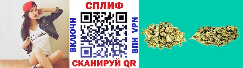 Купить закладки  Бердск  Конопля ГИДРОПОН 
